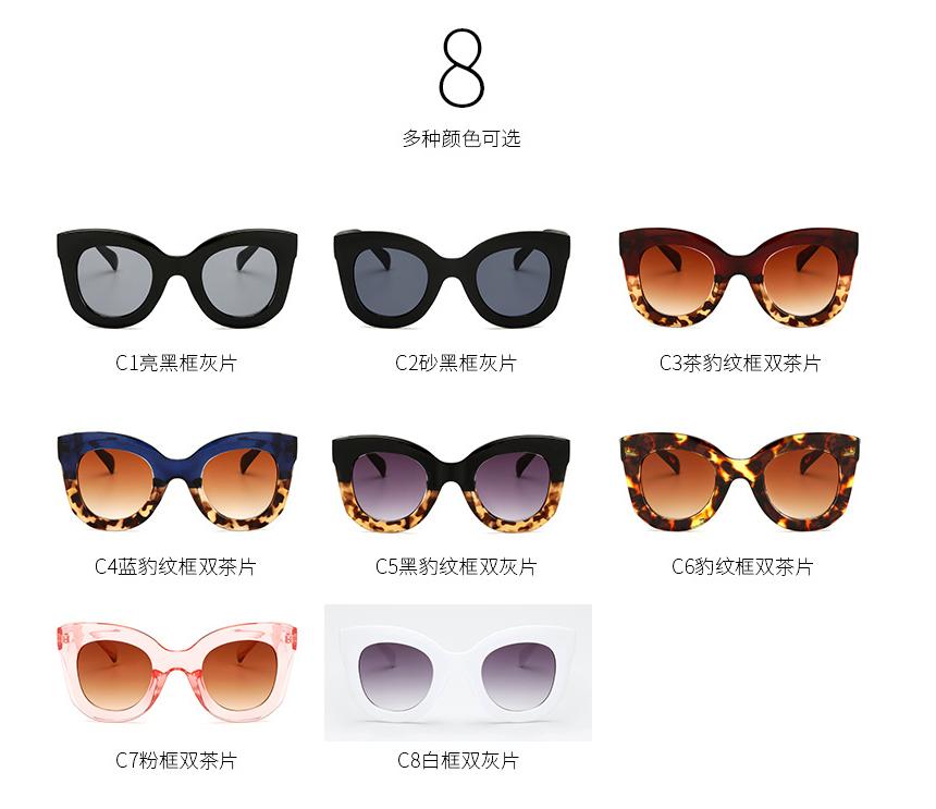 2018 fashion plastical sunglass colorfull cat  sunglasses  5