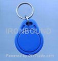 Key Chain/card