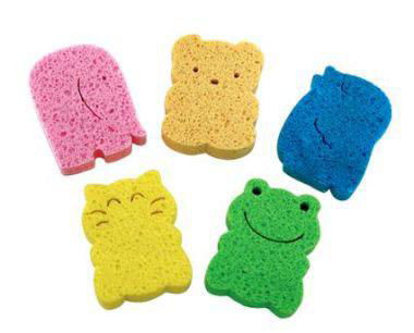 sponges  3