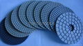 Diamond Polishing Pads