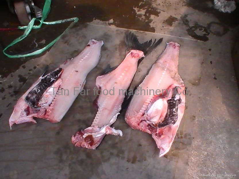 Fish cutting machine  used 3