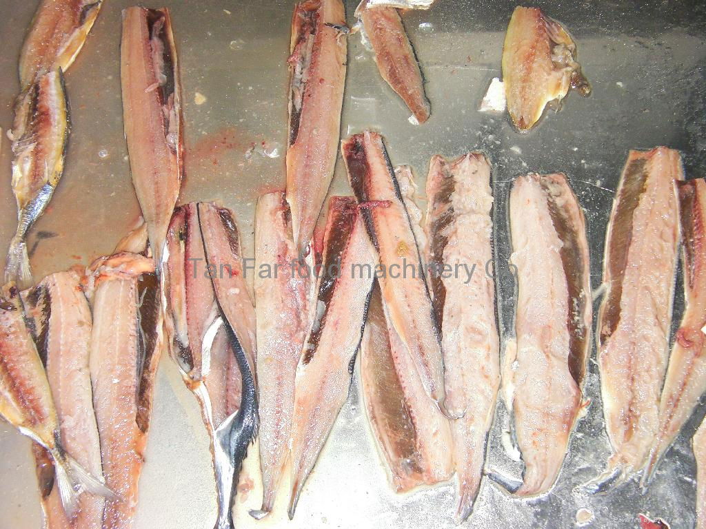 used fish filiter   three pieces of bone taken belly cutter 4