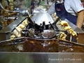 Japanese auto yakitori machine    5