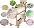 MULTI-FUNCTION VEGETABLE CUTTING MACHINE