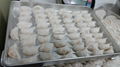 EG-50 Auto Shrimp dumpling machine 3