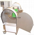 MULTI-FUNCTION VEGETABLE CUTTING MACHINE