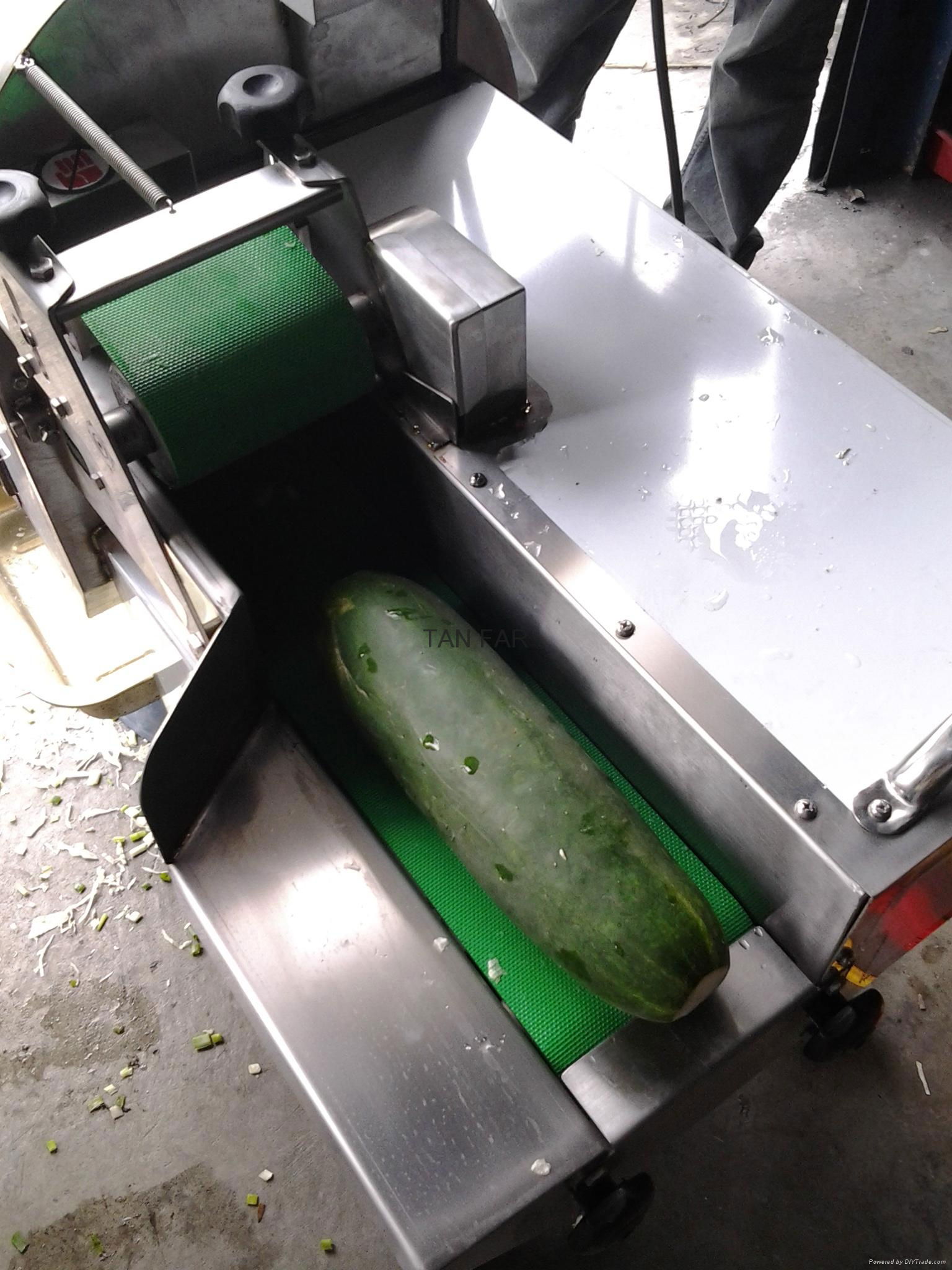 C-306 VEGETABLE CUTTING MAINE 5