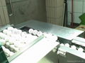 Auto egg breaking machine 3