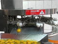 Auto Egg Breaking Machine 4