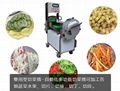 MULTI-FUNCTION VEGETABLE CUTTING MACHINE 15