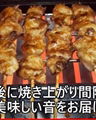 多款Higo Griller 日本炭火自动回转烧烤炉  二手 6