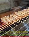 HIGO GRILL  japanese auto rolling BBQ grill 8