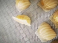 Multifunctional Crystal Dumplings Machine with the Cold Water Circulation System