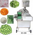 C-306 VEGETABLE CUTTING MAINE 2