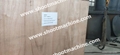 Wood Brequete Machine,SHBRE-50 6