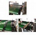 Heavy Duty Crawler Feeding Woodworking Double-sided Press Planer Machine,MB208F