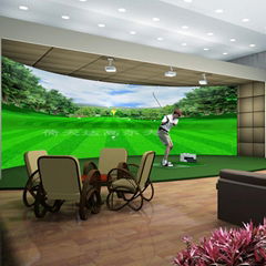 Indoor analog golf