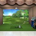 Indoor analog golf