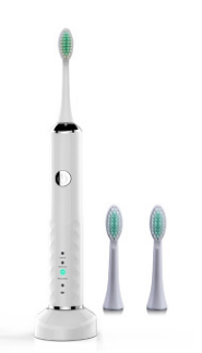 V-Ｇ Induction Charging Electric Toothbrush 3