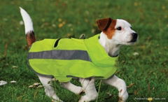 Active Wear Line - T8 Heavy Duty Raincoat