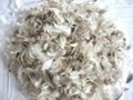 2-4cm/4-6cm Washed Grey duck feather 