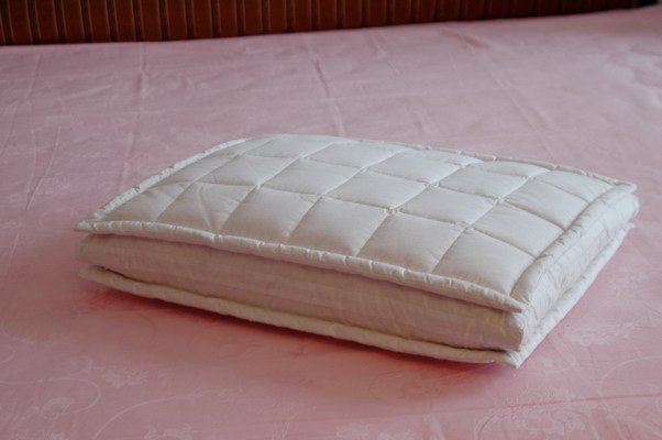   Duck feather Pillow 3