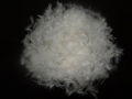 2-4cm/4-6cm White washed duck feather