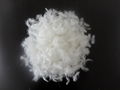 2-4cm/4-6cm White washed duck feather 2