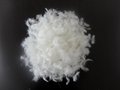  2-4CM /4-6cm  Washed white goose feather