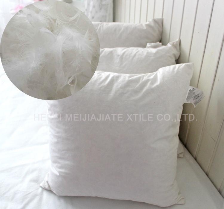 Feather cushion inner QIRONG017 QIRONG (China Manufacturer) Other