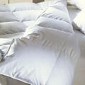 Duck /goose down  Comforter 2