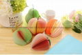 Fruit Sticky Notes 1