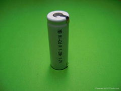 A Ni-MH / Ni-Cd rechargeable batteries 