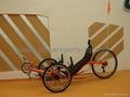 Recumbent Trike 1