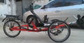 B.W Suspension Recumbent Trike 1