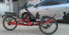 B.W Suspension Recumbent Trike