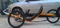 Recumbent Trike