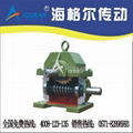 WD Worm Gear Reducer 1