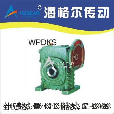 WPDKS Worm Gear Speed Reducer