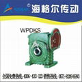 WPDKS蝸輪蝸杆減速機 1