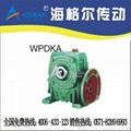 WPDKA Worm Gear Speed Reducer