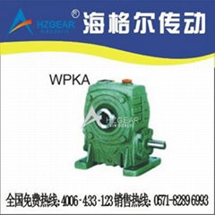 WPKA Worm Gear Speed Reducer