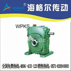 WPKS Worm Gear Speed Reducer