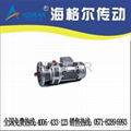 WB120 Mini-cycioidal reducers