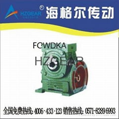 FCWDKA Worm Gear Speed Reducer