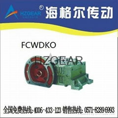 FCWDKO Worm Gear Speed Reducer