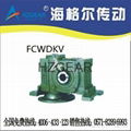 FCWDV Worm Gear Speed Reducer