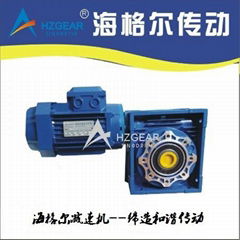 NMRV worm gear reducer(OEM MANUFACTURE)