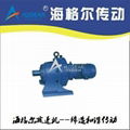 BWED121-187-1.1kw Double Cyclo Drive Reducer 2