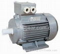  Y series three-phase asynchronous motor 